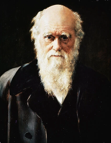 Portrait of the English naturalist Charles Darwin, detail (oil on canvas, 19th century)