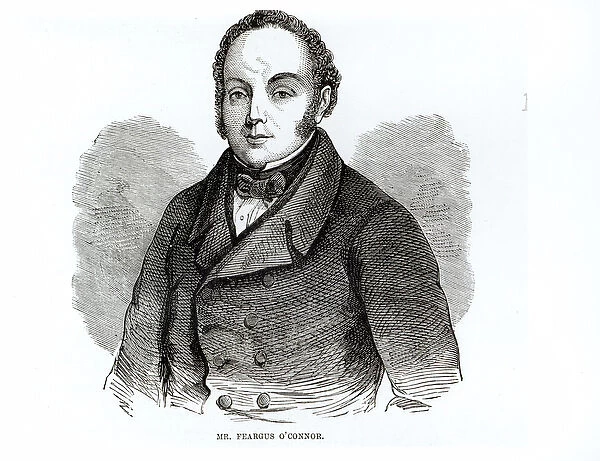 Portrait of Feargus O Connor (1794-1855) Irish Chartist leader (engraving) (b  /  w