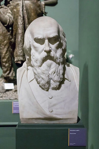 Portrait of Flavio Gioia, Francesco Liberti, 19th century (marble)