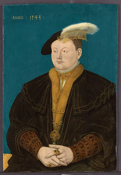 Portrait of Friedrich Magnus I von Solms-Laubach, 1543 (oil on panel)
