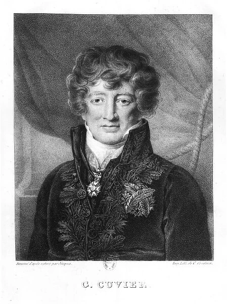 Portrait of Georges Cuvier (1769-1832) (litho) (b  /  w photo)