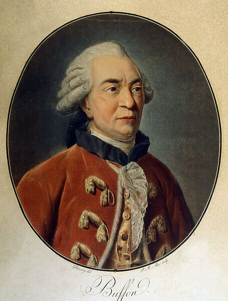 Portrait of Georges Louis Leclerc, Count of Buffon (1707 - 1788)