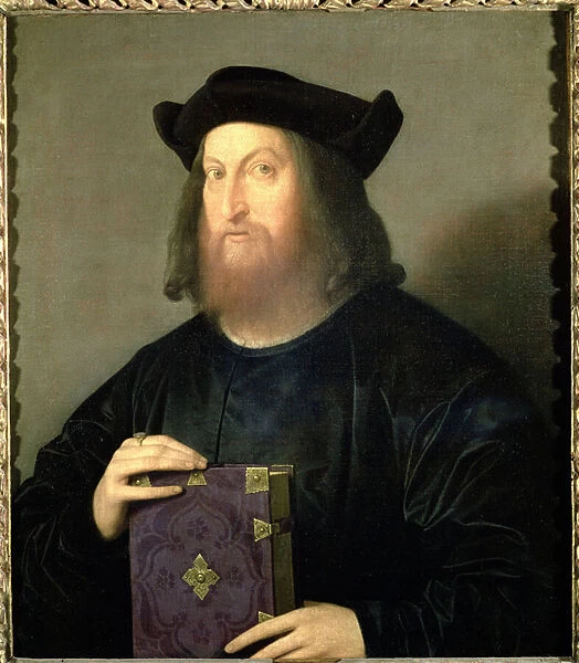 Portrait of Gian Giorgio Trissino (1478-1550) (oil on canvas)