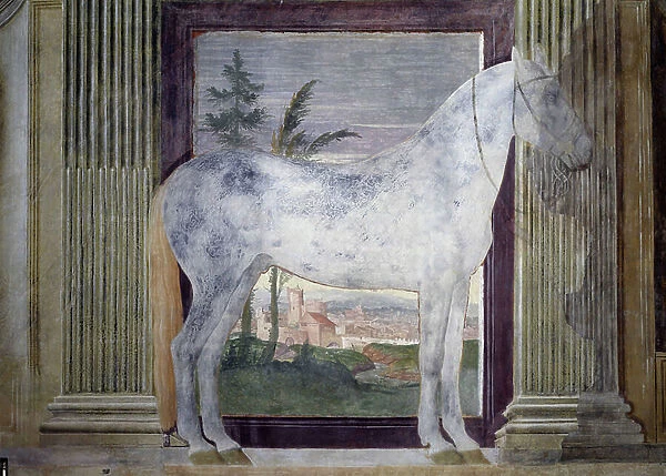 Portrait of the horse Glorioso Fresco by Giulio Pippi de Jannuzzi known as Giulio Romano (Julius Romano) (1492 / 1499-1546)) 1528 Horse Hall Palazzo del Te, Mantua (Mantova)