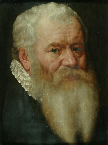 Portrait of Hubert Languet, 1580 (oil on panel)
