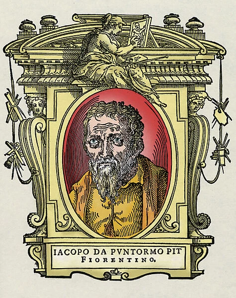 Portrait of Jacopo (Iacopo) Carrucci said il Pontormo (Pontormo) (1494-1556