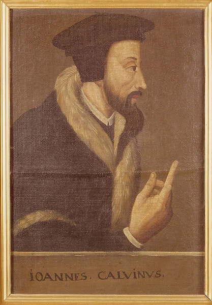 Portrait of John Calvin (1509-64) French theologian and reformer (oil on canvas)