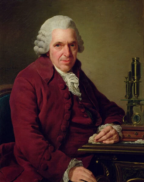 Portrait of Louis Jean Marie Daubenton (1716-1800) 1791 (oil on canvas)