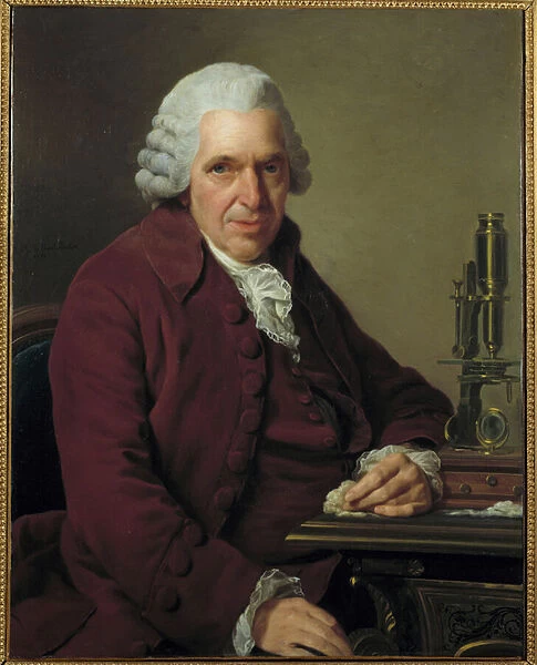 Portrait of Louis Jean Marie Daubenton, dit Daubenton (1716 - 1800), French naturalist