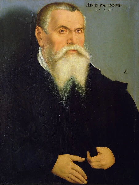 Portrait of Lucas Cranach the Elder (1472-1553) 1550 (oil)