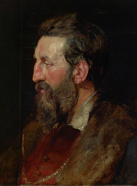 Portrait of a Man, c. 1615 (oil on panel)