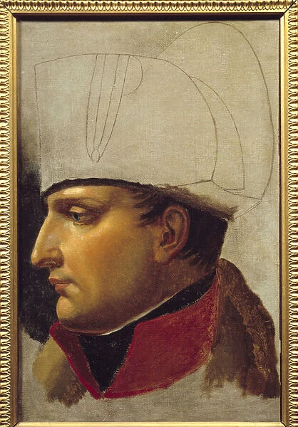 Portrait of Napoleon I (1769-1821) study for the handover of keys to the city of Vienna