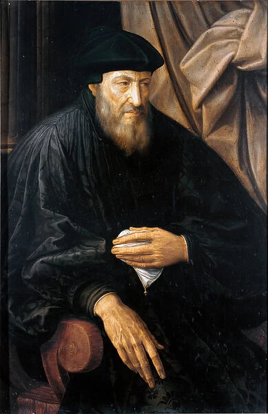 Portrait of old man (probably Andrea Doria) (Portrait of Andrea Doria or d