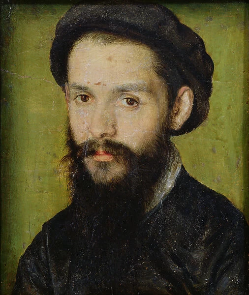 Portrait presumed to be Clement Marot (1496-1544) (oil on panel) (detail of 246497)