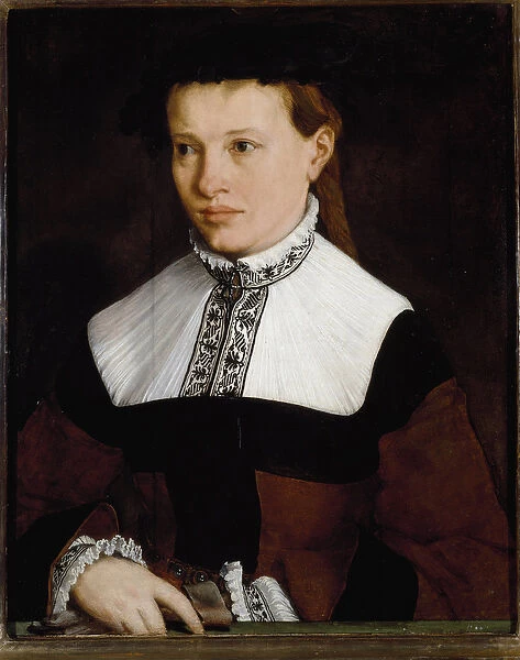 Portrait of Ursula Degnin, 16th century (painting)