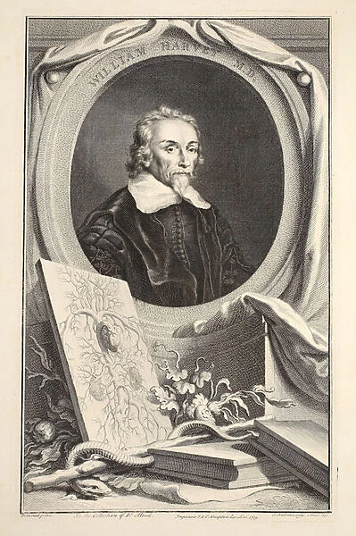 Portrait of William Harvey, illustration from Heads of Illustrious Persons of Great