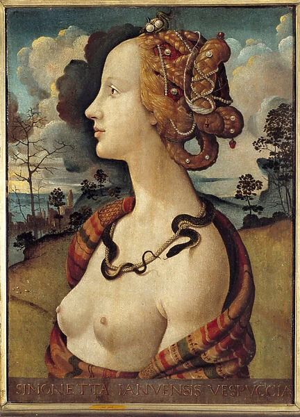 Portrait of a woman said of Simonetta Vespucci, 1480 (oil on canvas)