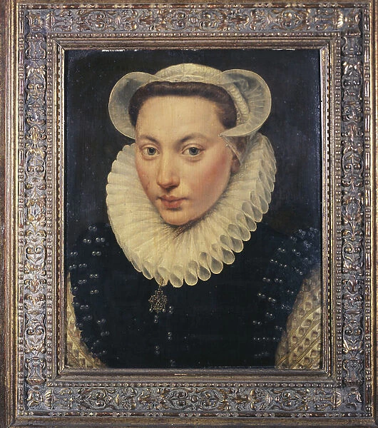 Portrait of a Young Lady, 1581 (oil on panel)