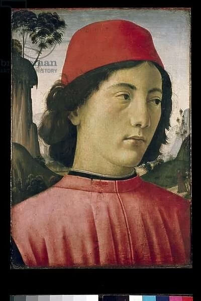 Portrait of a Young Man, 15th century (oil on panel)