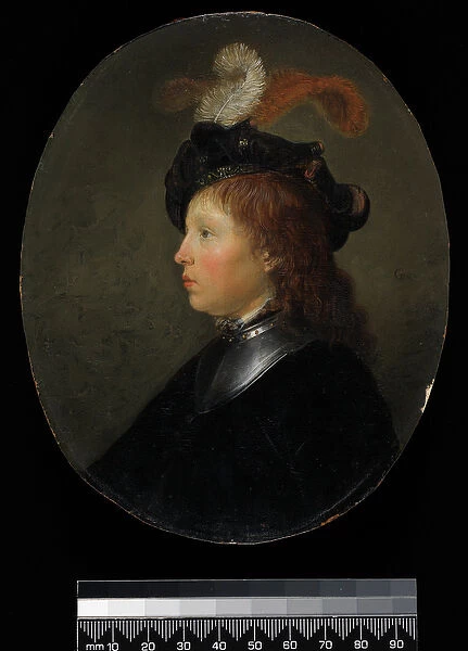 Portrait of a Young Man, 1663 (oil on panel)