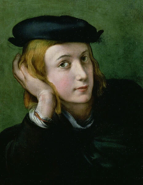Portrait of a Young Man (oil on panel)