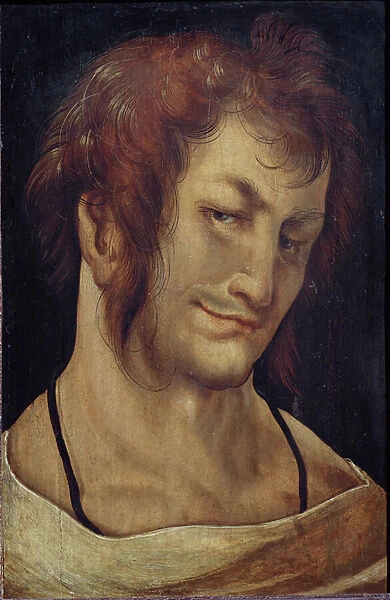 Portrait of a young man (Painting, 1511)