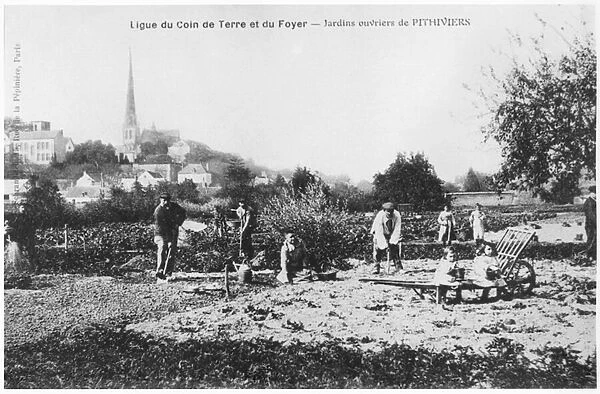 Postcard depicting kitchen gardens for workers at Pithiviers, before 1914 (b  /  w photo)