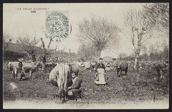 Postcard depicting the milking time in the Velay, c. 1900 (b  /  w photo)