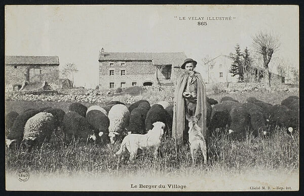 Postcard depicting a shepherd in a village, c. 1900 (b  /  w photo)