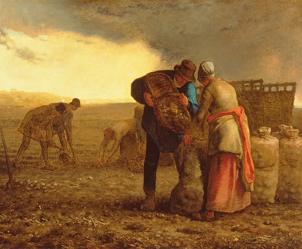 The Potato Harvest, 1855 (oil on canvas)