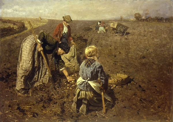 The Potato Harvest (oil on canvas)