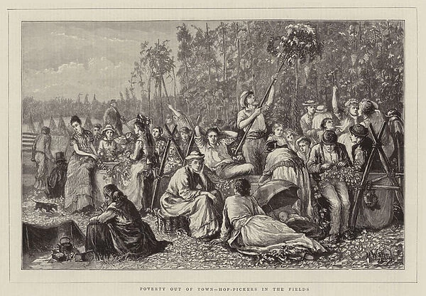 Poverty out of Town, Hop-Pickers in the Fields (engraving)