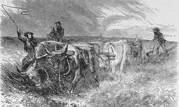 The Prairie Sod Plow, illustration from Harpers Weekly, 1868