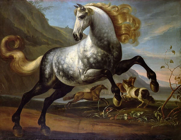 A Prancing Stallion with Stallions Fighting