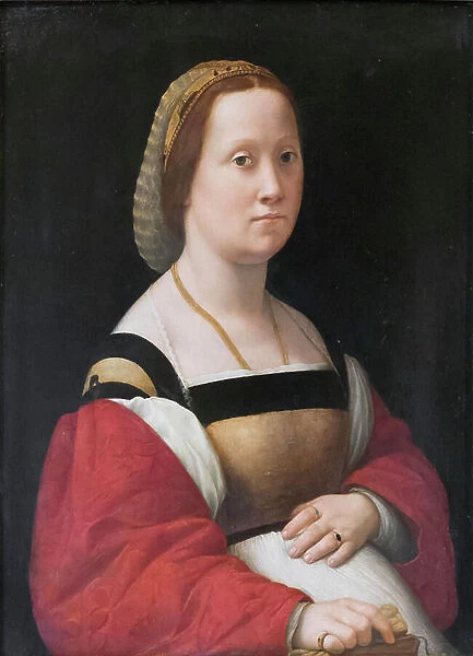 The pregnant woman, la gravida, 1505-06, (painting)