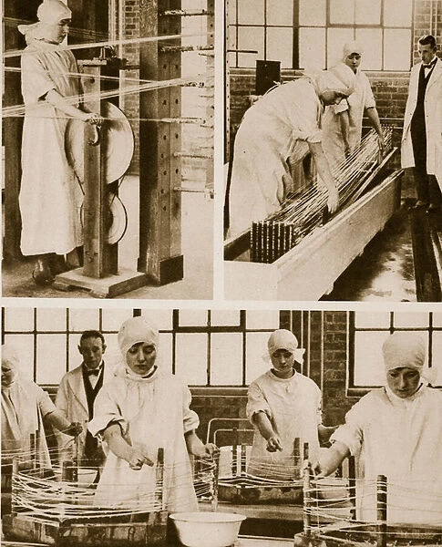 Preparing Cat-Gut at the London Hospitals own factory (sepia photo)
