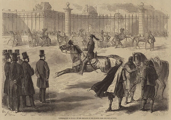 Presentation of Horses to the Emperor of the French from the Bey of Tunis (engraving)