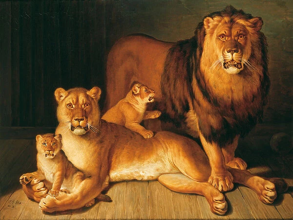 A Pride of Lions, 1801-02 (oil on canvas)