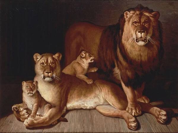 Pride of Lions (oil on canvas)