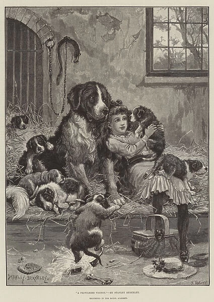 A Privileged Visitor (engraving)
