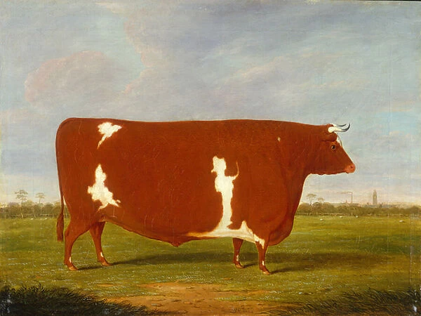 A Prize Bull standing in a Landscape, 1812 (oil on canvas)