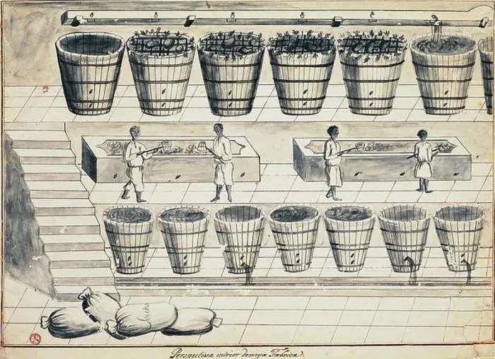 Framed Print : Processing cycle for extracting sugar from beet, watercolor, Portugal, 19th century