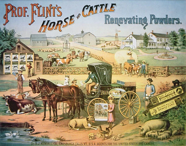 Professor Flints Horse & Cattle Renovating Powders, c. 1900 (colour litho)