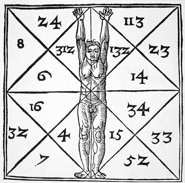 The Proportions of Man and their Occult Numbers from De Occulta Philosophia