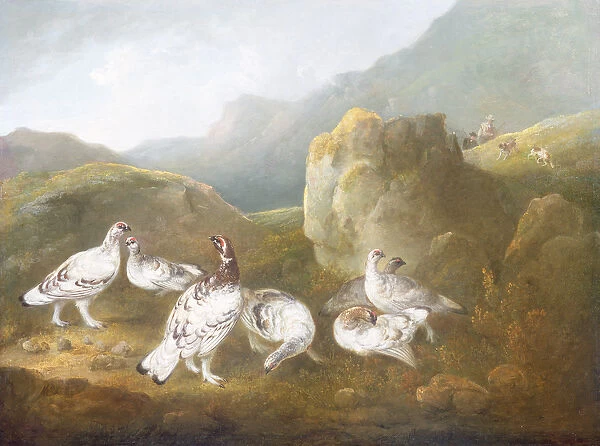 Ptarmigan in a Mountainous Landscape with Sportsmen and Dogs Beyond (oil on panel)