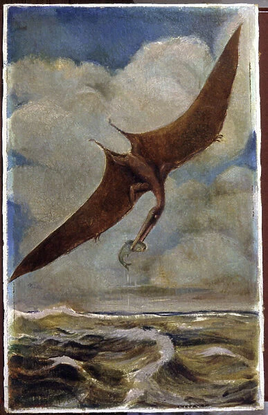 A pterodactyl. c. 1880 (gouache)