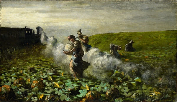 The Pumpkin Harvest, 1897 (oil on canvas)