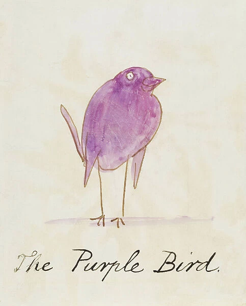 The Purple Bird, from Sixteen Drawings of Comic Birds (pen & ink w  /  c on paper)