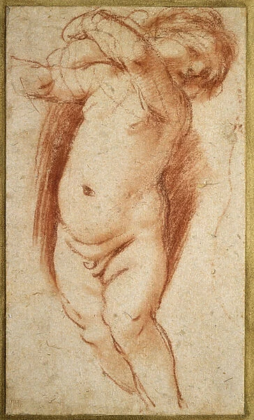 A Putto, 1620 - 1624 (red chalk on greyish paper)