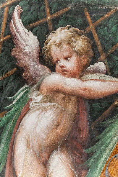 Putto, from the Room of Diana and Actaeon, detail of 2384753, 1524
